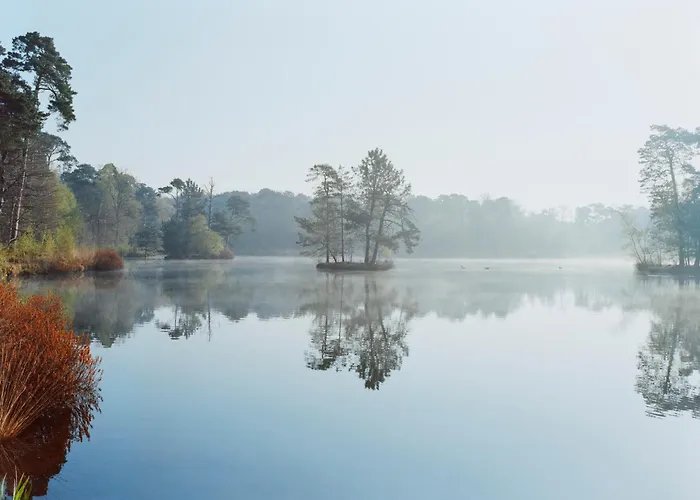 Bent Hotel Oisterwijk
